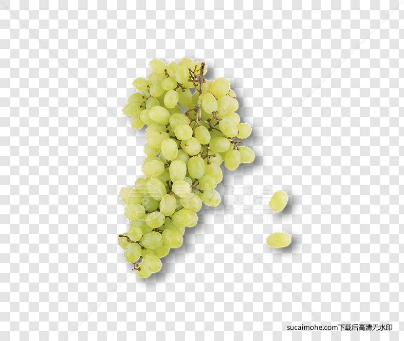 Grape一串青色葡萄免抠png元素（含PSD文件）