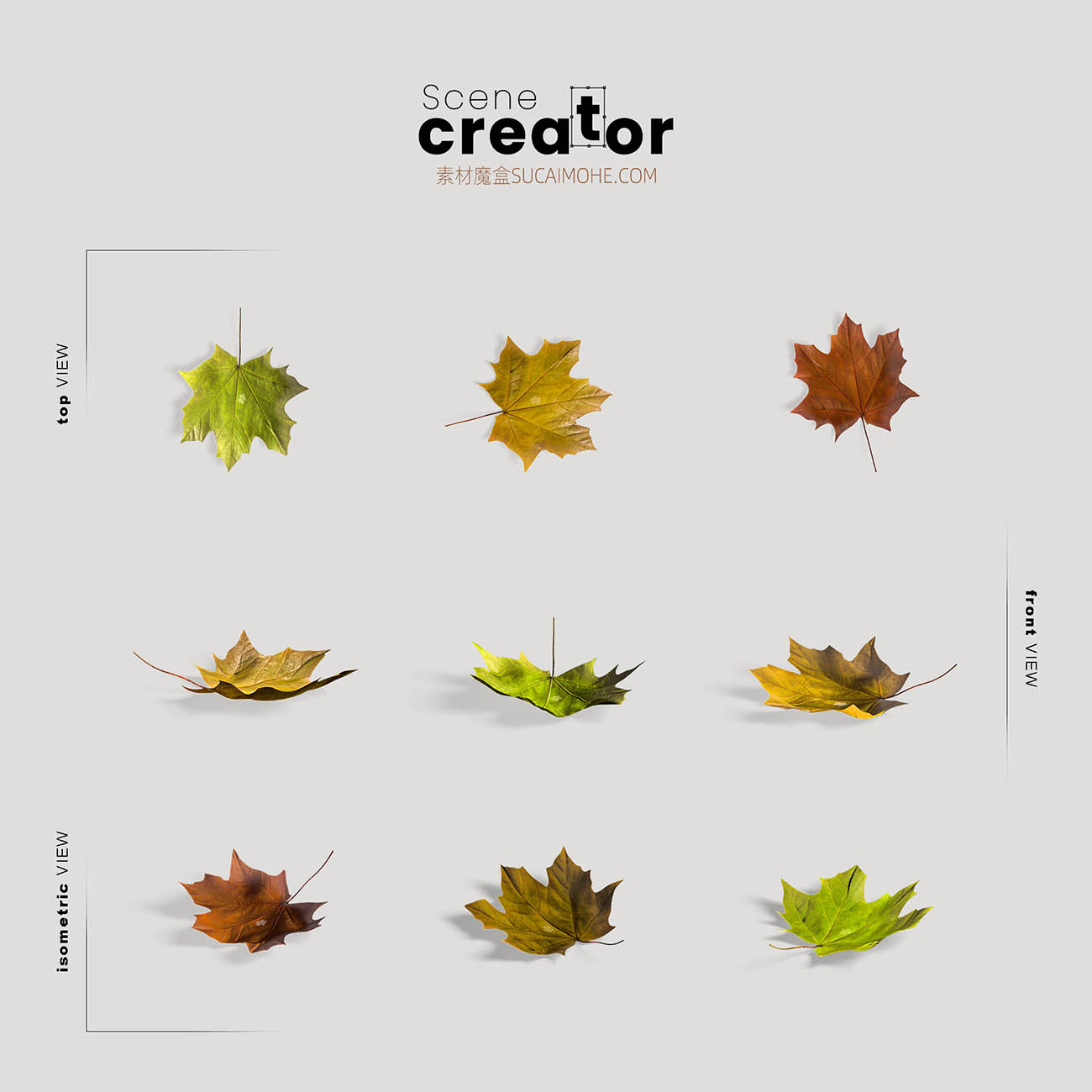 感恩节安排与秋天的落叶P​​sd源文件-thanksgiving-arrangement-with-autumn-leaves