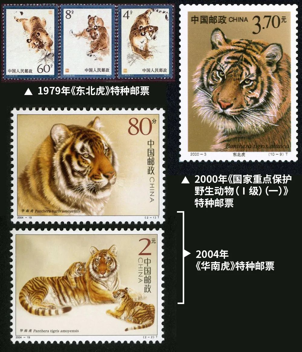 虎年邮票设计大合集，各国生肖邮票哪个“虎”更合你心意？(图13)