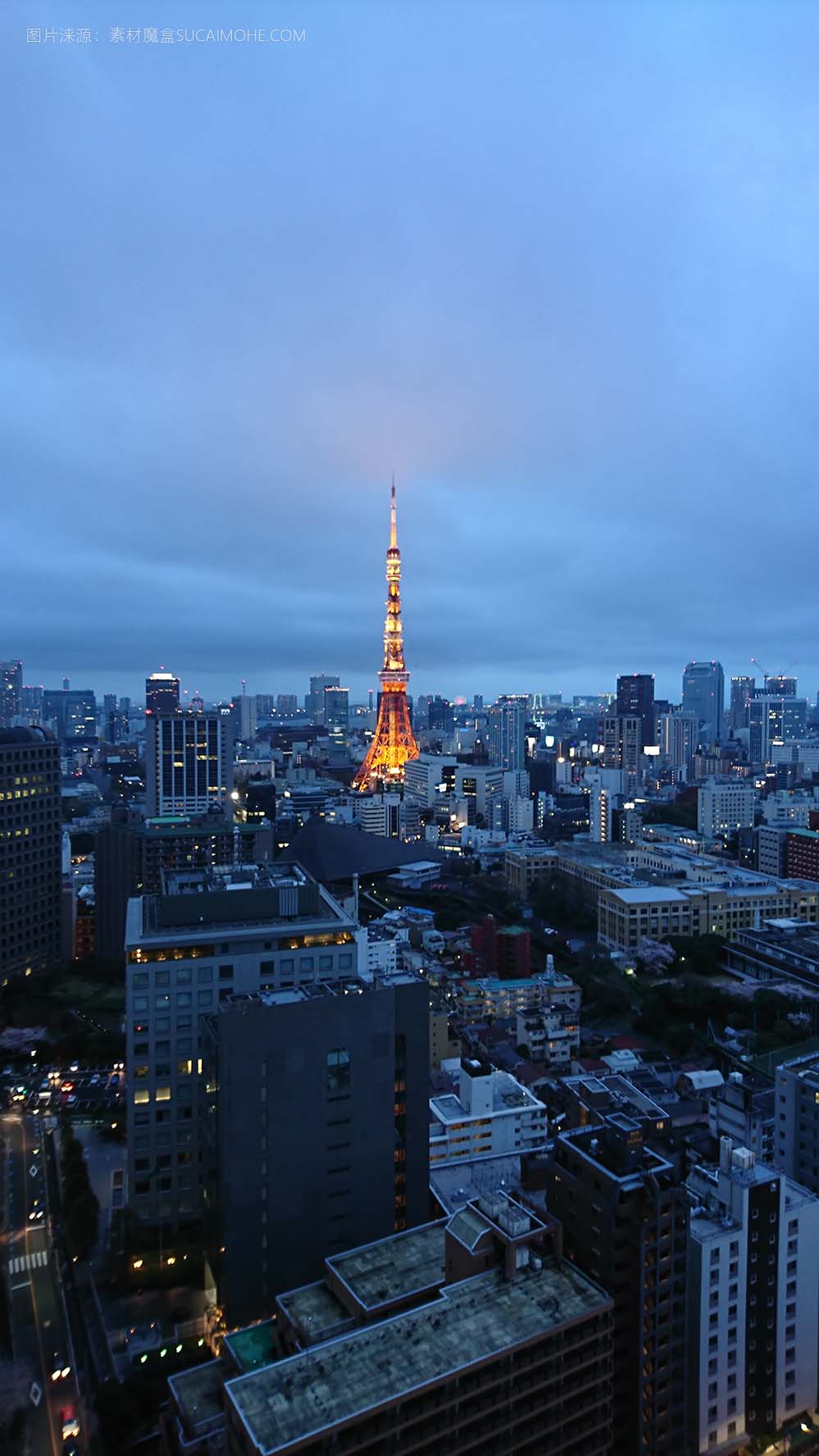 东京塔和夜间港区的建筑物 - 东京的城市景观