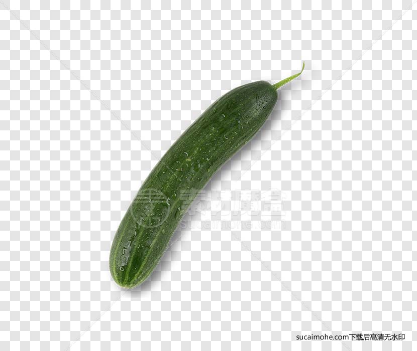 蔬菜水果黄瓜Cucumber免抠png元素（含PSD文件）