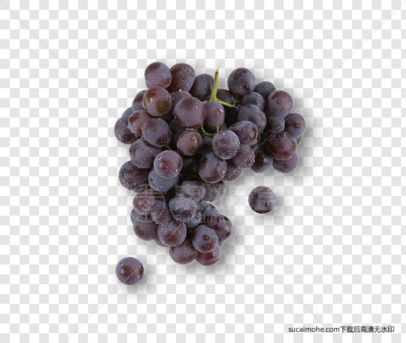 一串紫色葡萄Grape_Dark免抠png元素（含psd文件）