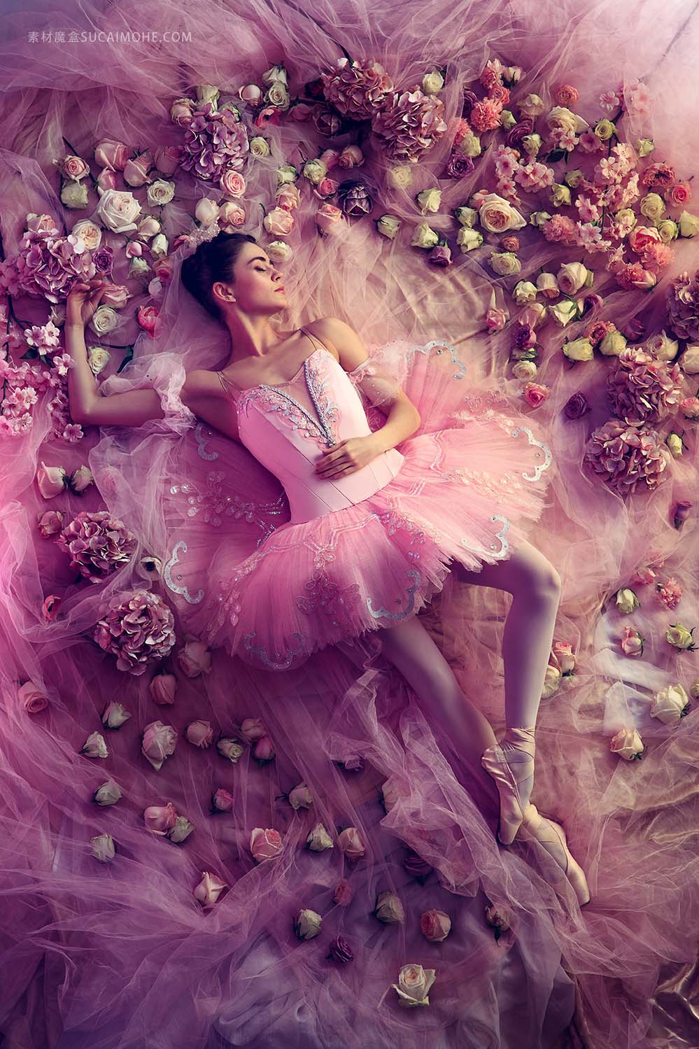 甜蜜的梦-美丽的年轻女子在花包围的粉红色的芭蕾舞短裙的顶视图-珊瑚光下的春天心情和柔情
