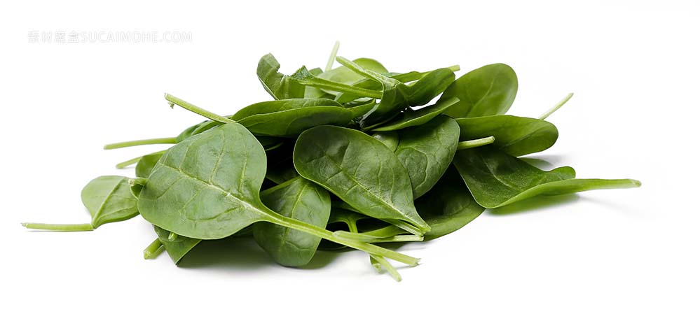 桌上菠菜照片spinach-table