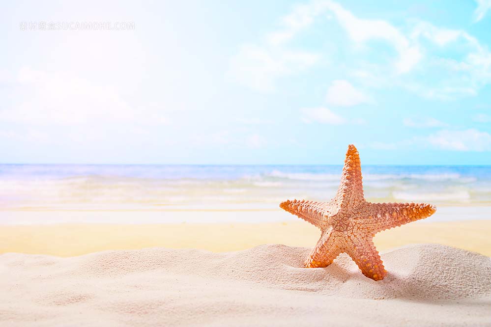 在夏天晴朗的海滩的海星在海洋背景。旅游，度假的概念starfish-summer-sunny-beach-ocean-background-t