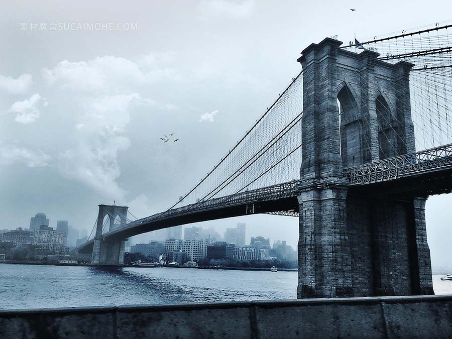 鸟飞布鲁克林大桥美国纽约市birds-flying-brooklyn-bridge-new-york-city-usa