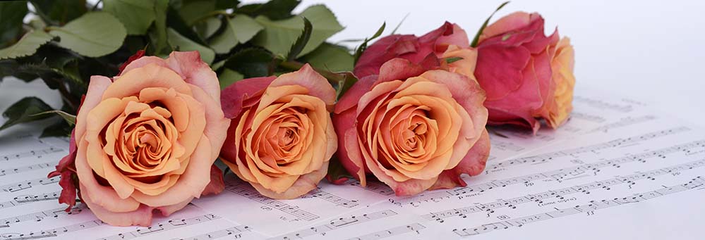 roses-玫瑰 橙色 鲜花 乐谱 音乐 Notenblatt 旋律 浪漫 玫瑰壁纸  高清摄影大图