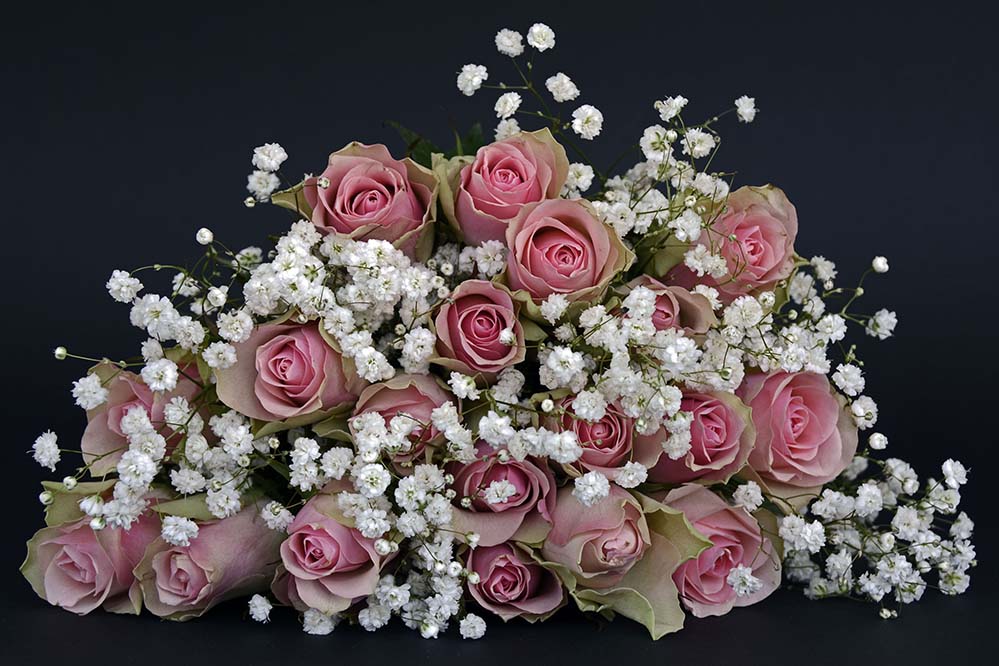 roses-玫瑰 玫瑰花朵 鲜花 粉红色 白 满天星 自然 束鲜花 花束 谢谢 爱 婚礼 佳期