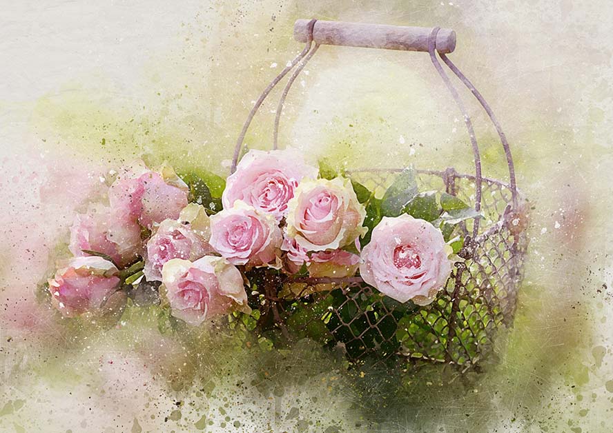 watercolor-roses-and-basket-水彩玫瑰和篮子 Castleguard 玫瑰 粉红玫瑰 母亲节玫瑰 母亲节 粉红色 爱花