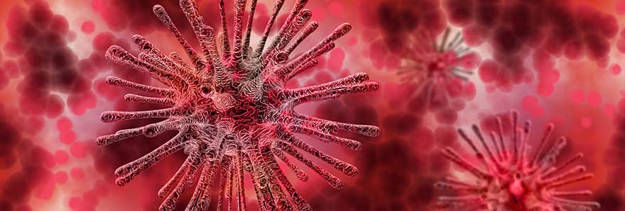 virus-病毒 显微镜 感染 疾病 死亡 医疗 健康 发烧 蔓延 疫苗 医疗保健 细菌 爆发 红色 高清大图