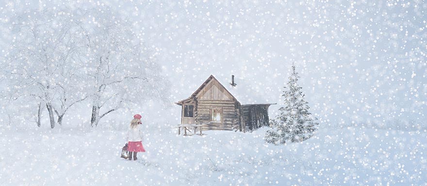 winter-冬天 圣诞节 雪 12 月 雪花 白 冷 寒冬 枞树 圣诞树 来临 圣诞主题 气氛