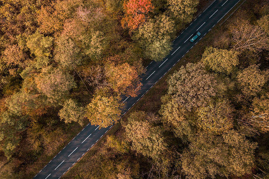 way-方式 森林 树 景观 秋 汽车 无人驾驶飞机 鸟类 旅行 湖 街 对称性 穿越 路