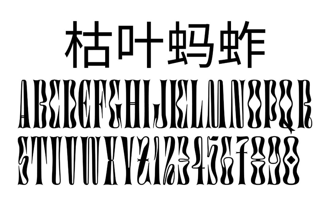 五个案例教会你“西文中用”字体设计(图46)